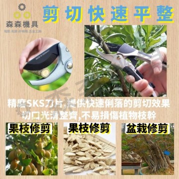 【Komori 森森機具】現貨 滑輪剪刀 園藝剪刀 花剪 多功能園藝剪刀 果樹剪 花枝剪刀 修枝剪 樹枝剪 花藝剪 粗枝剪刀 園藝工具剪