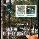 【Komori森森機具】現貨 電動修枝剪 園林工具高枝杆 6吋電鏈鋸 帶2.5米加長桿 樹枝剪 園藝剪 加長桿 【Komori森森機具】現貨 電動修枝剪 園林工具高枝杆 6吋電鏈鋸 帶2.5米加長桿 樹枝剪 園藝剪 加長桿