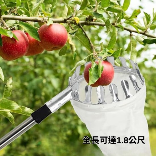 【Komori 森森機具】 摘果器 撿果器 摘水果神器 伸縮桿 摘蘋果李子 高空採摘器 高空樹上採摘 多功能不銹鋼 【Komori 森森機具】 摘果器 撿果器 摘水果神器 伸縮桿 摘蘋果李子 高空採摘器 高空樹上採摘 多功能不銹鋼